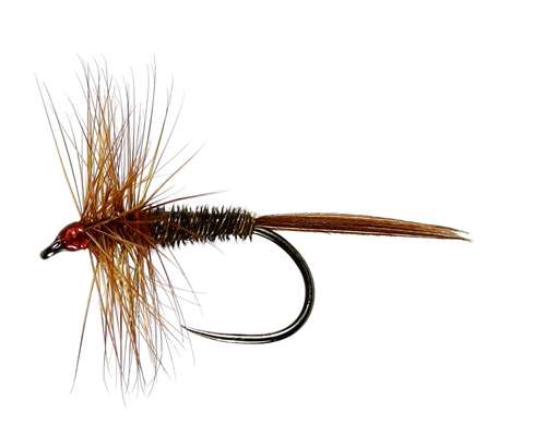 Pheasant Tail Hackled Dry Barbless #14