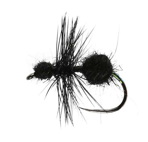 Black Ant Hackled Dry Barbless #14