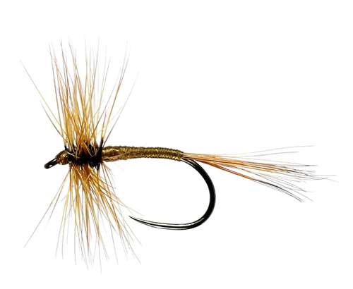  3x SIZE 14 CDC DUNS REPRESENTING THE LARGE DARK OLIVE DRY TROUT FLIES. 