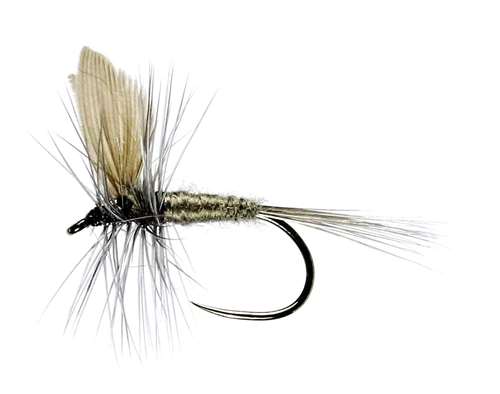 Blue Dun Winged Dry Barbless #14