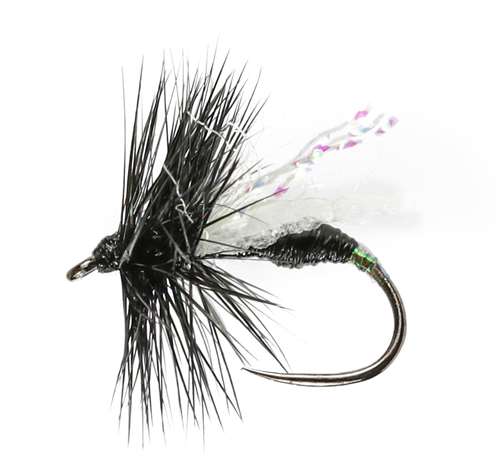 Sparkle Gnat Winged Dry Barbless #14