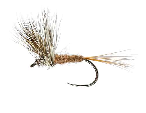 Caledonia Flies March Brown Upright Winged Dry Barbless #14 Fishing Fly