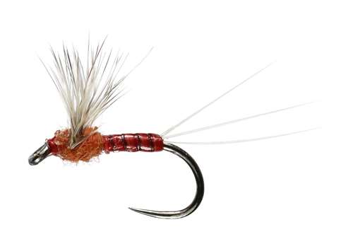 Caledonia Flies Pf Sherry Spinner Winged Dry Barbless #16 Fishing Fly