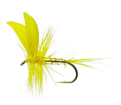 Caledonia Flies Golden Sally Winged Dry Barbless #14 Fishing Fly