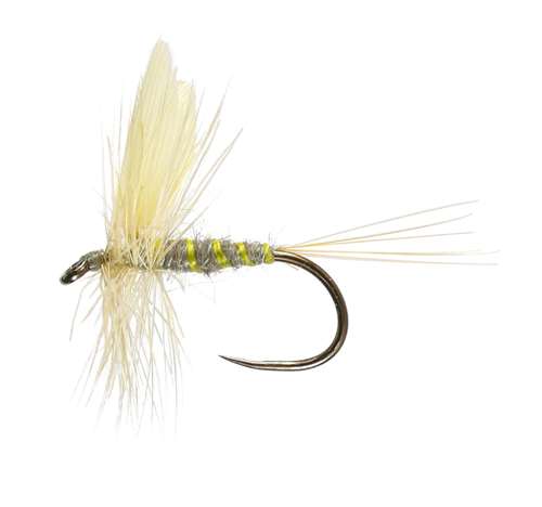 Caledonia Flies Driffield Dun Winged Dry Barbless #16 Fishing Fly