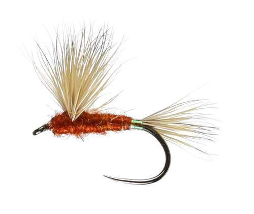 Caledonia Flies June Comparadon Winged Dry Barbless #16 Fishing Fly