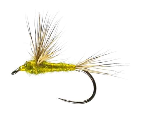 Caledonia Flies Olive Sulphur Comparadon Winged Dry Barbless #16 Fishing Fly