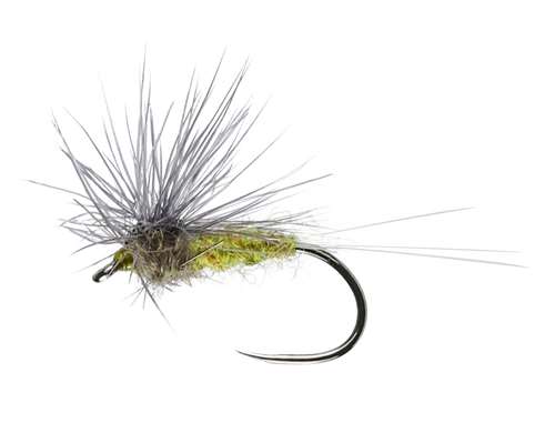 BWO Stacked Hackle Winged Dry Barbless #14