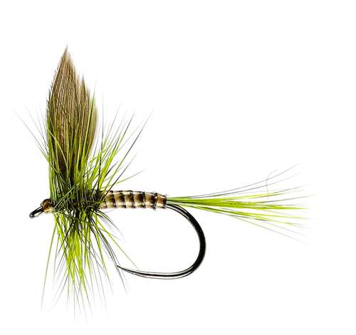 Caledonia Flies Olive Dun Winged Dry Barbless #16 Fishing Fly