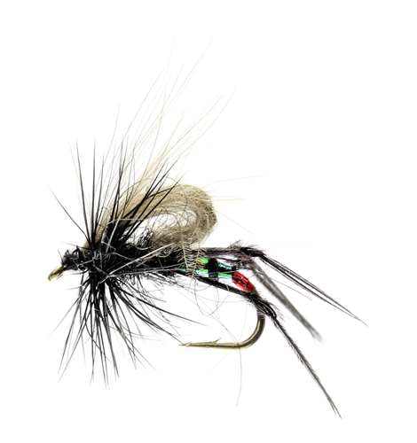 Caledonia Flies Black Hopper Cdc #12 Fishing Fly Barbed Dry Fly