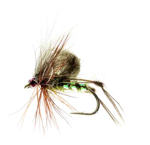 Caledonia Flies Olive Hopper Cdc #12 Fishing Fly Barbed Dry Fly