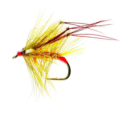 Caledonia Flies Gorgeous George Hopper #10 Fishing Fly