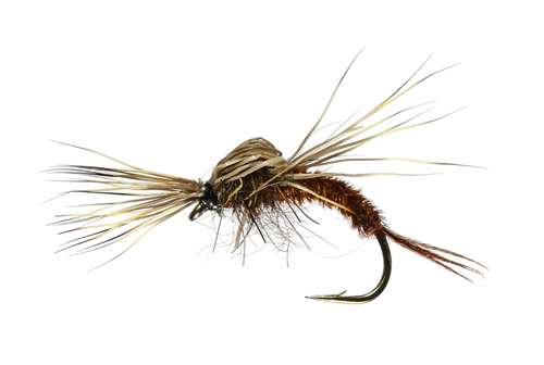 Caledonia Flies March Brown Deershucker #12 Fishing Fly