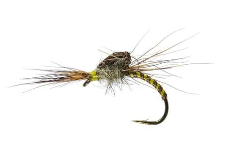 Caledonia Flies Olive Deershucker #12 Fishing Fly Barbed Dry Fly