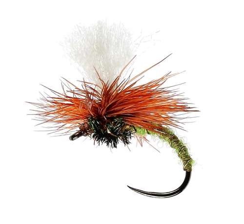 Caledonia Flies Olive Klink Barbless #14 Fishing Fly