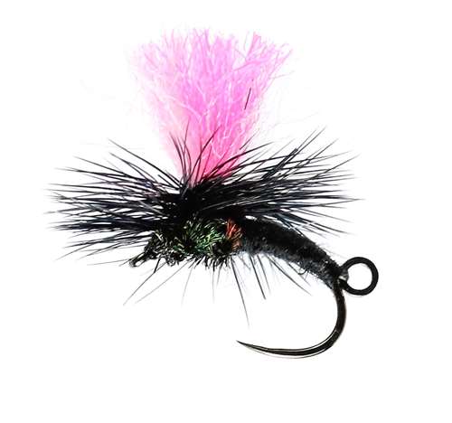 Caledonia Flies Black Klink & Dink Barbless #14 Fishing Fly