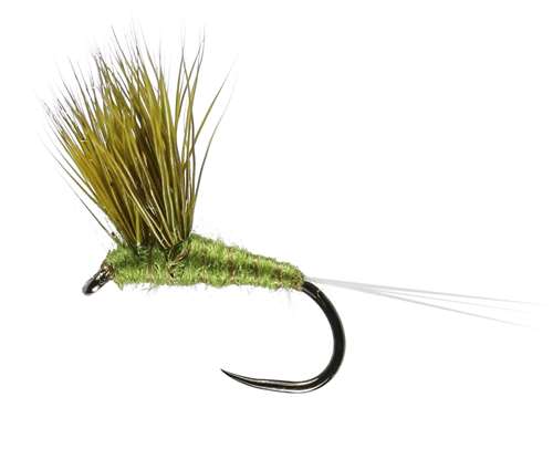 Caledonia Flies Olive Double Decker Barbless #12 Fishing Fly