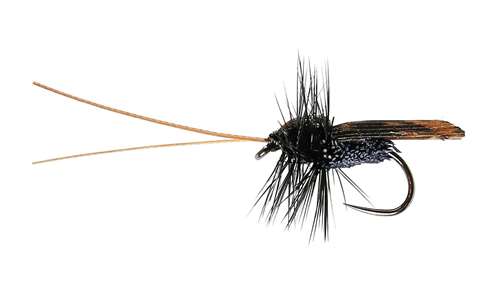 Caledonia Flies Black Micro Caddis Dry Barbless #14 Fishing Fly