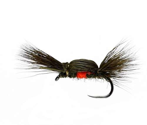 Caledonia Flies Double Humpy Olive Dry Barbless #12 Fishing Fly