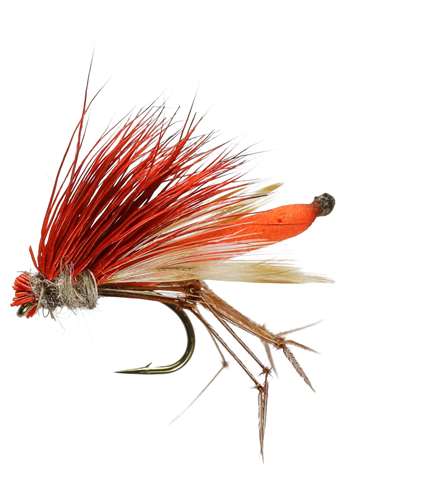 Caledonia Flies Orange Daddyhog #10 Fishing Fly Barbed