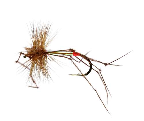Caledonia Flies Pearly Daddy #10 Fishing Fly Barbed