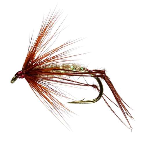 Caledonia Flies Hares Ear Hopper #12 Fishing Fly Barbed Dry Fly