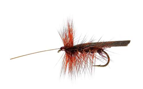Caledonia Flies Claret Murrough Sedge #10 Fishing Fly
