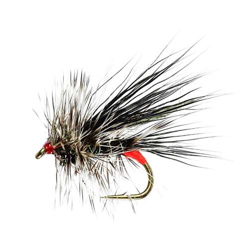 Caledonia Flies Seducer Black Sedge #12 Fishing Fly