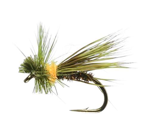 Caledonia Flies Olive Drop Sedge #12 Fishing Fly Barbed Caddis Or Sedge Fly