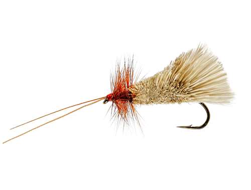 Caledonia Flies G&H King Sedge #10 Fishing Fly Barbed Caddis Or Sedge Fly