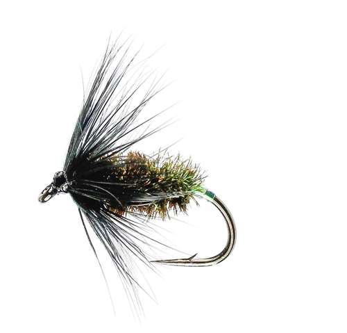 Caledonia Flies Black & Peacock Spider Hackled Wet #12 Fishing Fly