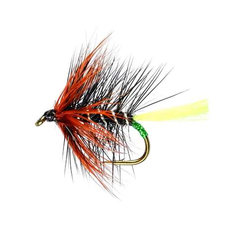 Caledonia Flies Kate Mac Yellow Tail Hackled Wet #10 Fishing Fly