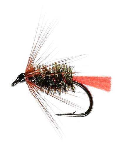 Caledonia Flies Red Tag Hackled Wet #10 Fishing Fly