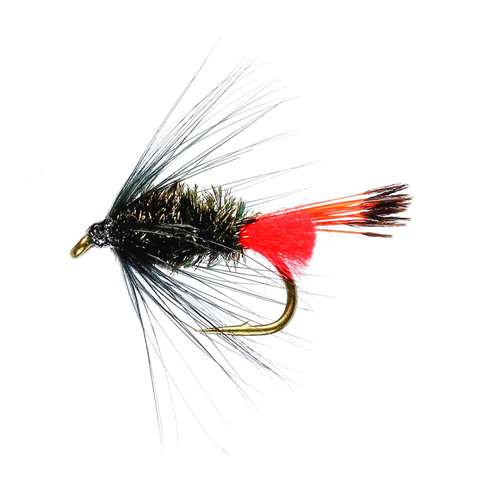 Caledonia Flies Kee Hee Black Hackled Wet #12 Fishing Fly