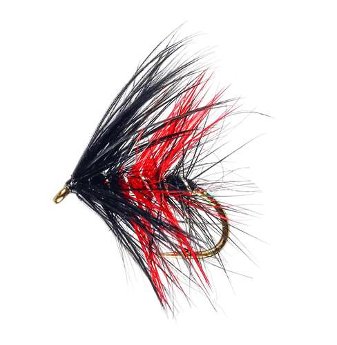 Caledonia Flies Bibio & Red Hackled Wet #10 Fishing Fly