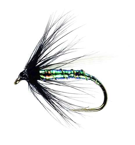 Caledonia Flies Blue Bottle Hackled Wet #12 Fishing Fly