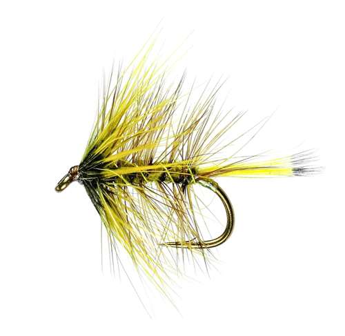 Caledonia Flies Orkney Olive Hackled Wet #12 Fishing Fly