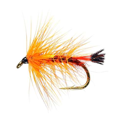 Caledonia Flies Copper Top Hackled Wet #10 Fishing Fly