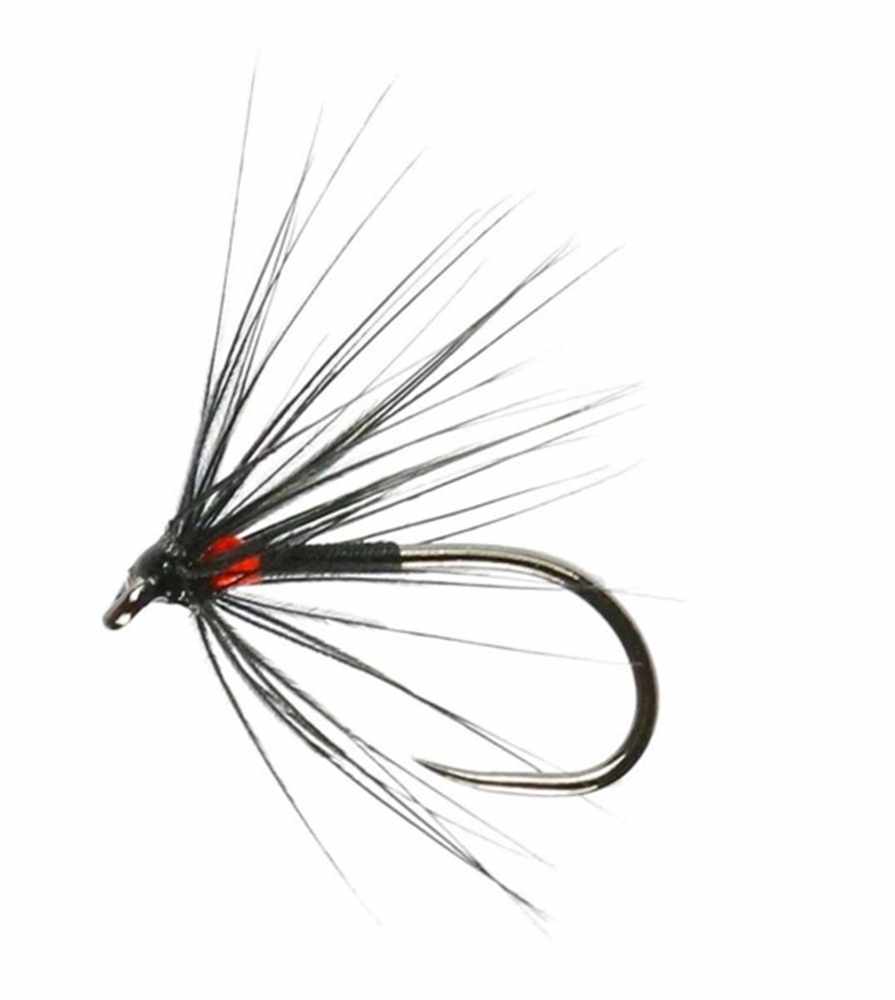 thumbnail interactive-video image 1 of 12-Pack Dry Trout Fishing Flies - Assorted Black Spider, Knotted Midge, Black Gnat (Sizes 12/14/16) 1 of 5