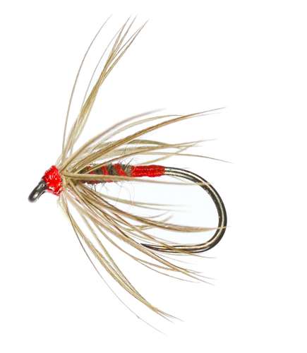 Caledonia Flies Iron Blue Spider Hackled Wet Barbless #14 Fishing Fly