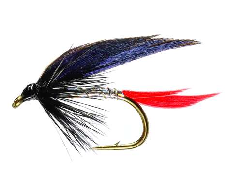 Caledonia Flies Butcher Winged Wet #14 Fishing Fly