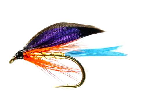 Kingfisher Butcher Winged Wet #12