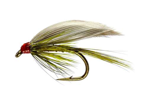 Caledonia Flies Olive Dun Winged Wet #12 Fishing Fly