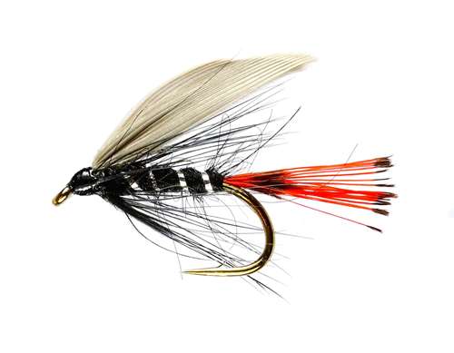 Caledonia Flies Blae & Black Winged Wet #12 Fishing Fly