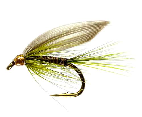 Caledonia Flies Olive Quill Winged Wet #12 Fishing Fly