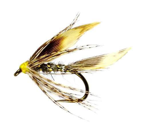 Caledonia Flies Grhe Winged Wet #12 Fishing Fly