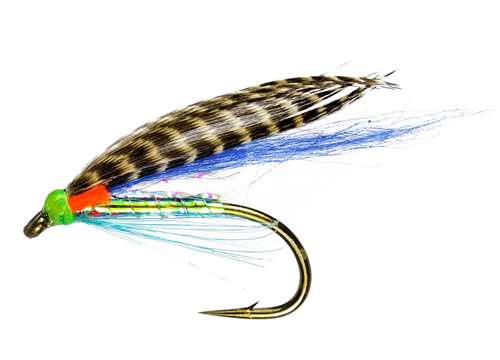 Caledonia Flies Pearly Medicine Fly Winged Wet #10 Fishing Fly
