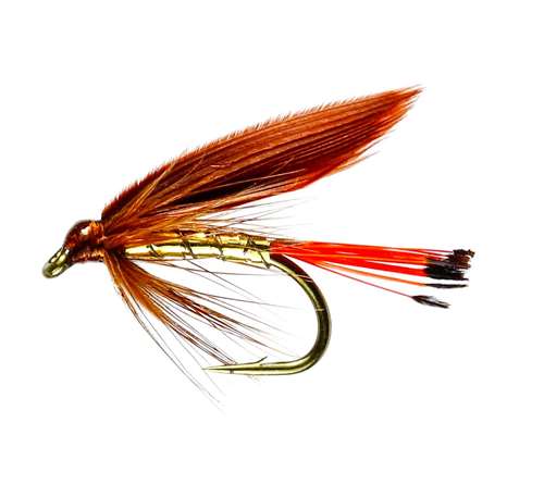 Caledonia Flies Cinnamon & Gold Winged Wet #12 Fishing Fly