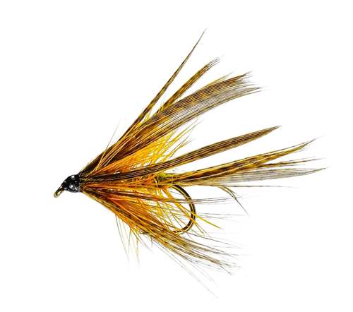 Caledonia Flies Dabbler Golden #10 Fishing Fly Barbed Wet Fly