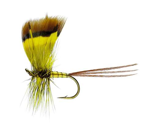 Dozen of  Yellow Wing Mayfly Nymph Trout Flies Fly Fishing 10# W/ Free Box L724 